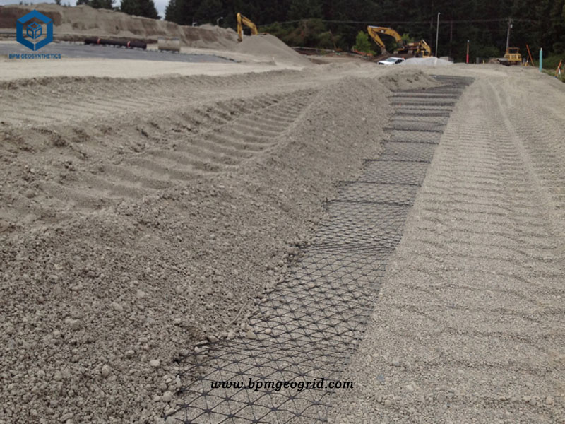 Polyester Biaxial Geogrid for Park Construction Project in Philippines