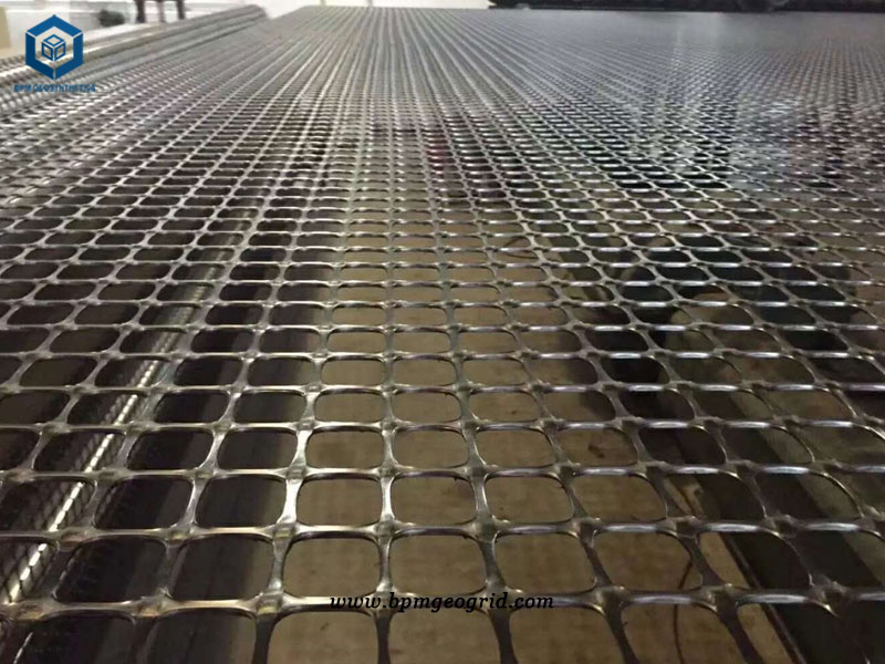 Polyester Biaxial Geogrid for Park Construction in Philippines